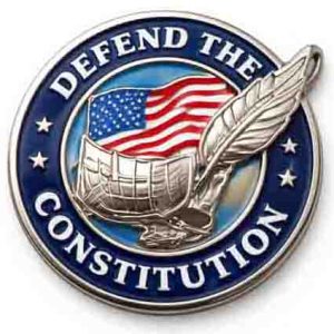 Defend The Constitution Lapel Pin